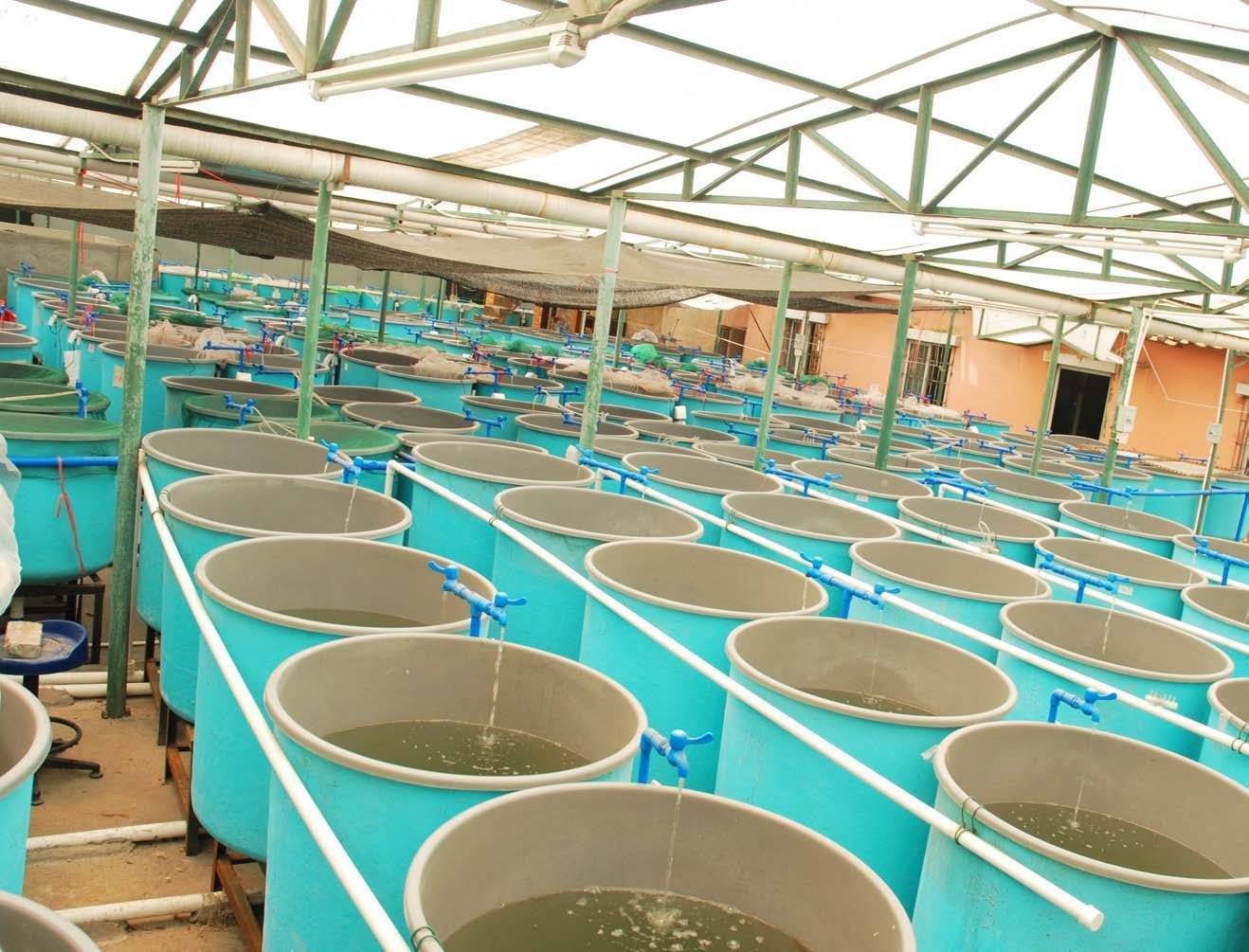 Fish farms & aquaculture monitoring environment from the Monnit guide