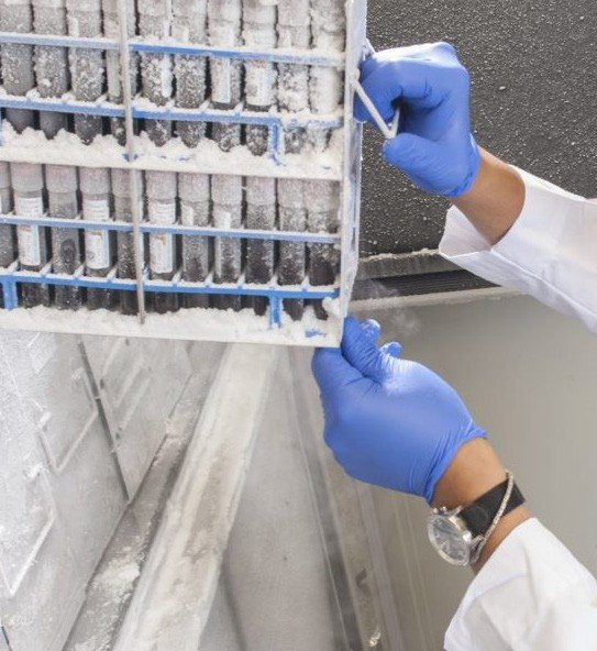 Pharmaceutical refrigeration monitoring environment from the Monnit guide